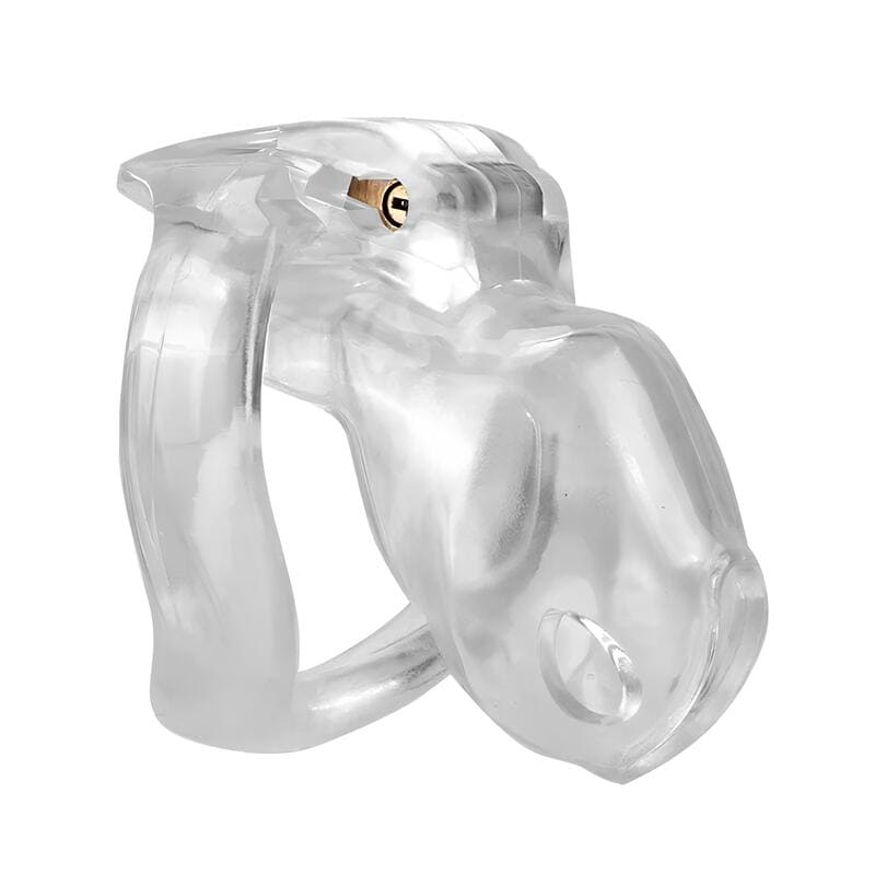 Holy Trainer V4 Nano en ABS transparent, format compact 6 cm