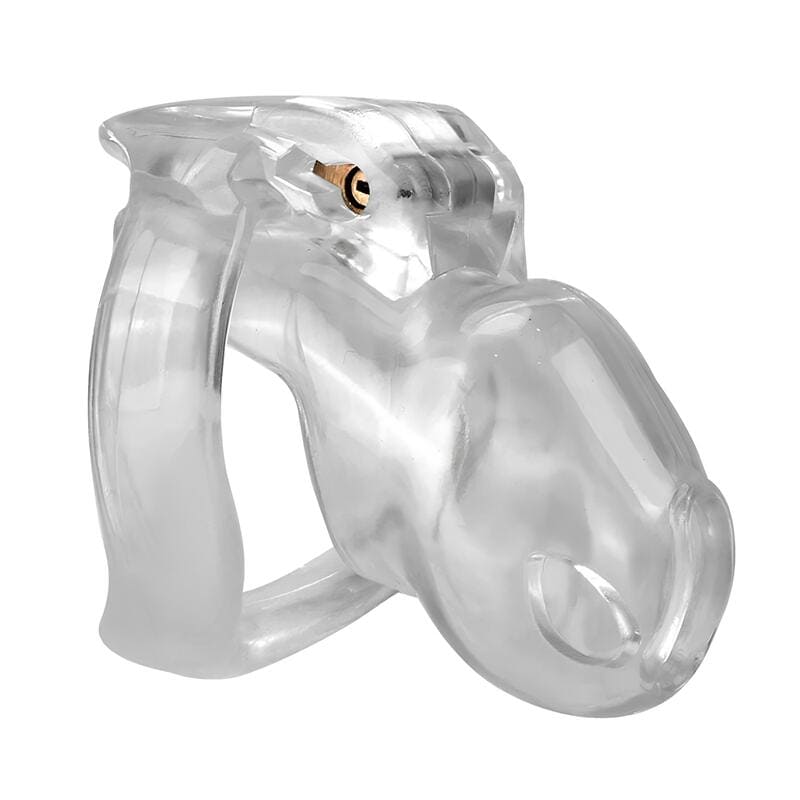 Holy Trainer V4 Small en ABS transparent, format polyvalent 7,5 cm