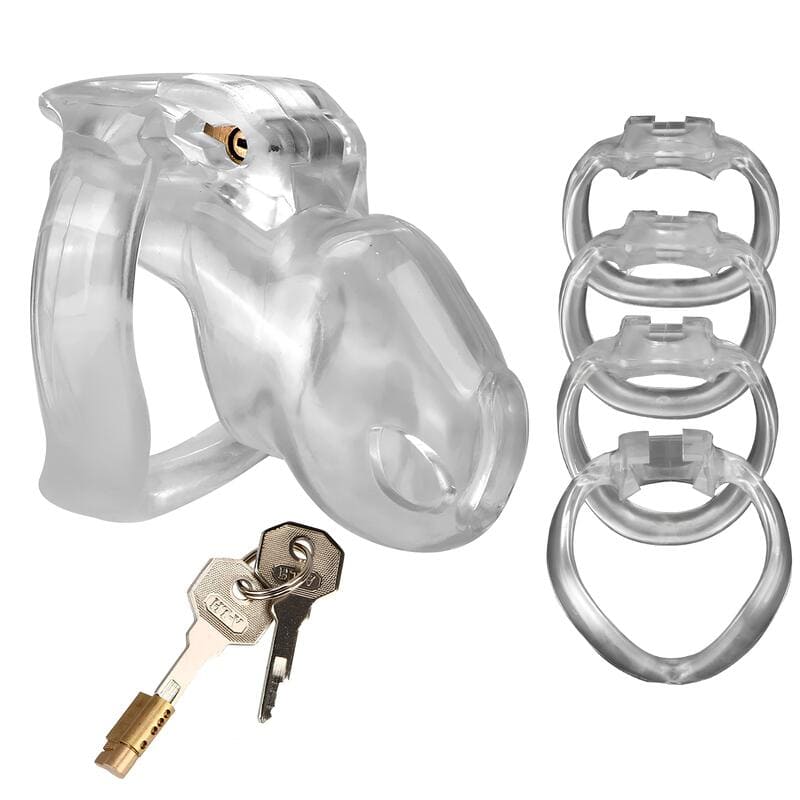 Accessoires fournis avec la Holy Trainer V4 Small en ABS transparent