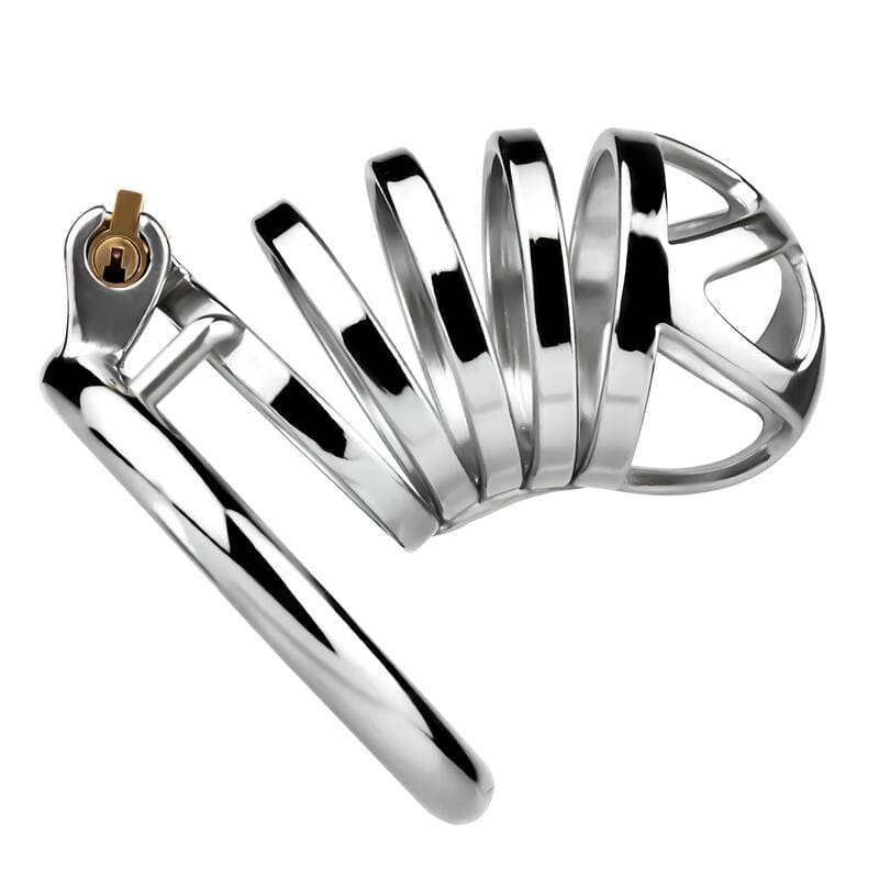 Cage de chasteté Magnus en métal modèle basique maximisé