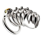 Cage de chasteté Pixie en métal longue à picots vissables