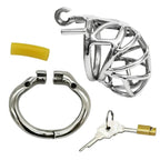 Accessoires de la cage de chasteté Tuco en métal forme naturelle adaptée